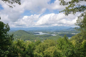 Ivy Mountain Top